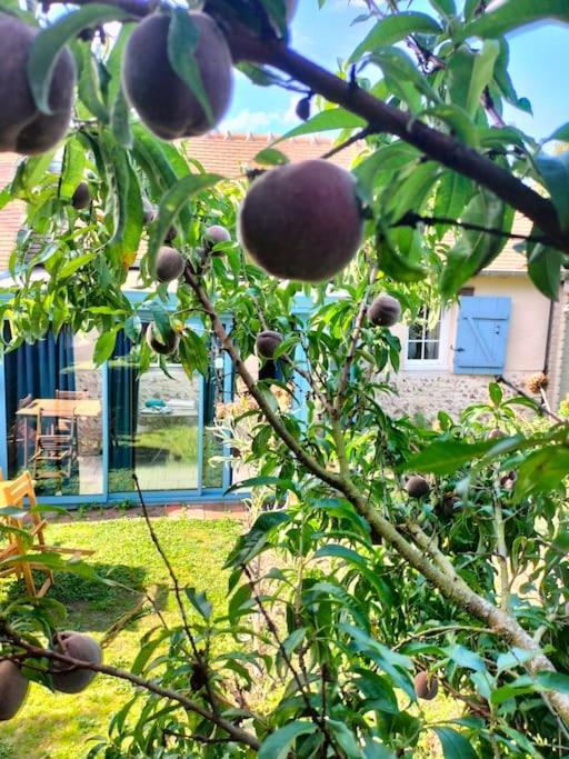 Charmante Maisonnette En Pierre Écardenville-sur-Eure Dış mekan fotoğraf